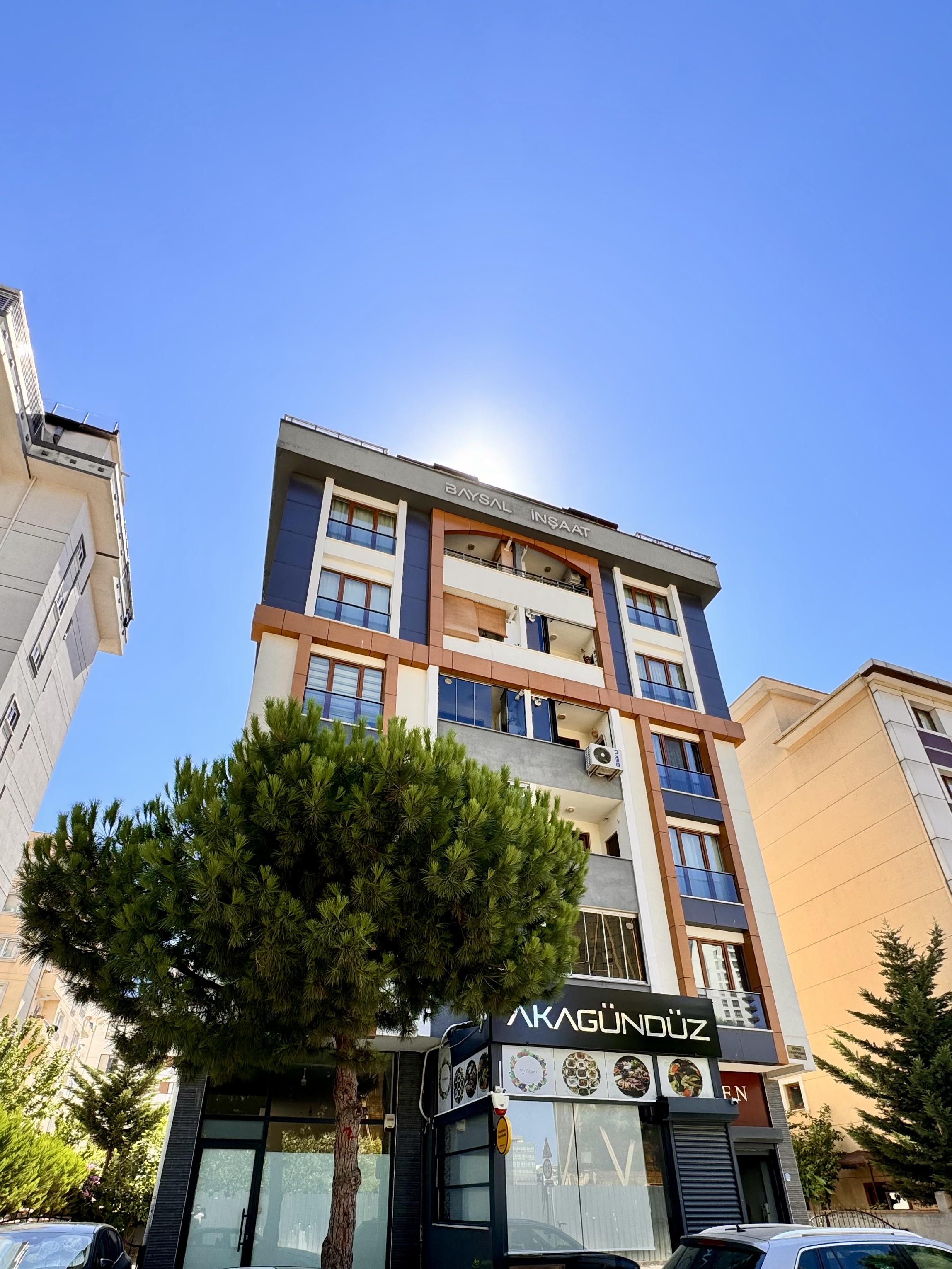 BAYSALDRAGOS Projesi